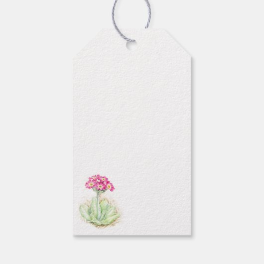 Alpiene primrose waterverf labels van fijne kunst cadeaulabel (Achterkant)