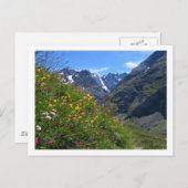 Alpiene Schoonheid Briefkaart (Voorkant / Achterkant)