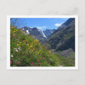 Alpiene Schoonheid Briefkaart (Voorkant)