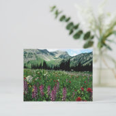 Alpiene weide in de wilde natuur van Pasayten, Cal Briefkaart (Staand voorkant)