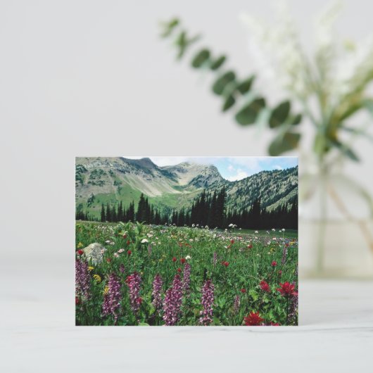 Alpiene weide in de wilde natuur van Pasayten, Cal Briefkaart (Staand voorkant)