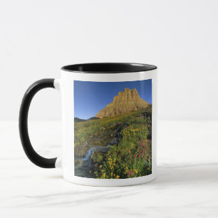 Alpiene wilde bloemen & Mt Clements bij Logan Pass Mok