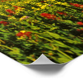 Alpiene wilde bloemen op Logan Pass in Glacier Poster (Hoek)
