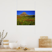 Alpiene wilde bloemen op Logan Pass in Glacier Poster (Keuken)