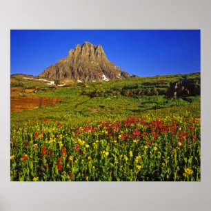 Alpiene wilde bloemen op Logan Pass in Glacier Poster