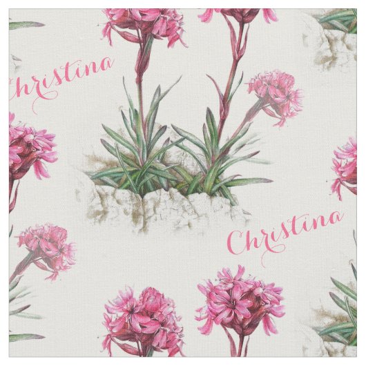 Alpine catchfly roze botanische kunst genaamd stof (Close Up)