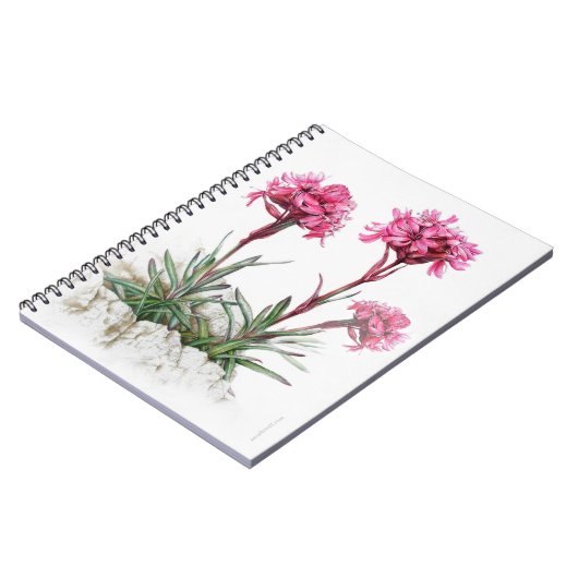 Alpine catchfly waterverf fine art notitieboek (Linkerzijde)