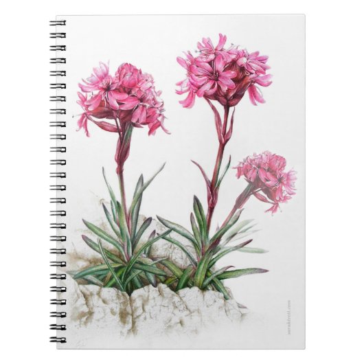 Alpine catchfly waterverf fine art notitieboek (Voorkant)