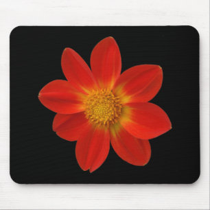 Alpine Cherub (Dahlia) Muismat