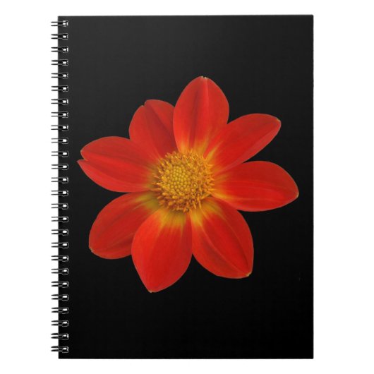 Alpine Cherub (Dahlia) Notitieboek (Voorkant)