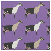 Alpine Dairy Goats op Paarse Stof (Close Up)