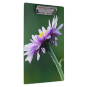 Alpine Daisy Klembord (Rechts)