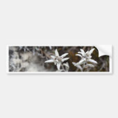 Alpine Edelweiss Bumpersticker (Voorkant)