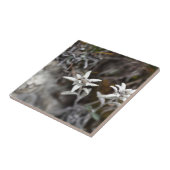 Alpine Edelweiss Tegeltje (Zijkant)