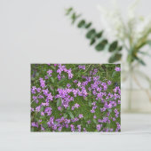Alpine Flowers Briefkaart (Staand voorkant)