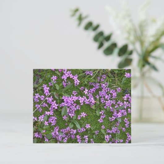 Alpine Flowers Briefkaart (Staand voorkant)