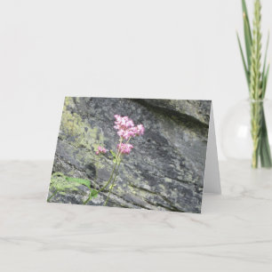 Alpine Flowers Kaart
