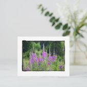 Alpine Flowers Meadow Sage La Berneuse Leysin Briefkaart (Staand voorkant)
