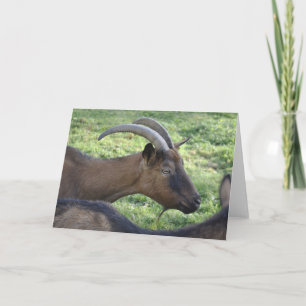 Alpine goat card kaart