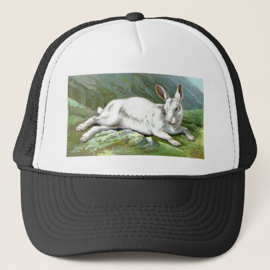 Alpine Hare Trucker Pet (Voorkant)