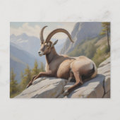 Alpine Ibex liggend op rotsachtige klif Briefkaart (Voorkant)