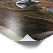 Alpine Koe Print Foto Afdruk (Hoek)