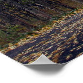 Alpine Loop Mount Timpanogos, Utah Poster (Hoek)