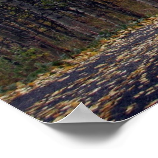 Alpine Loop Mount Timpanogos, Utah Poster (Hoek)