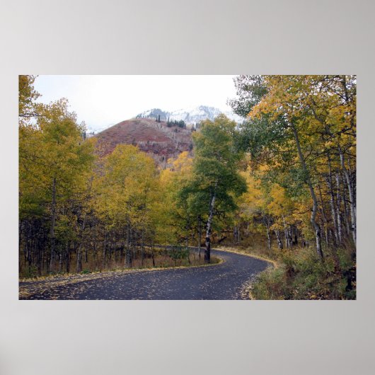 Alpine Loop Mount Timpanogos, Utah Poster (Voorkant)