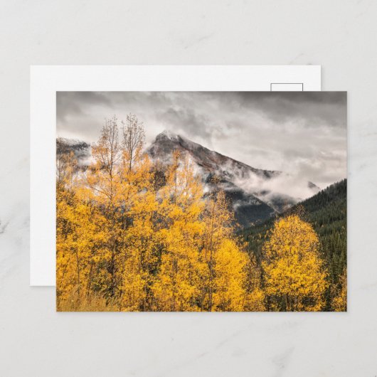 Alpine Loop | Silverton, Colorado Briefkaart (Voorkant / Achterkant)