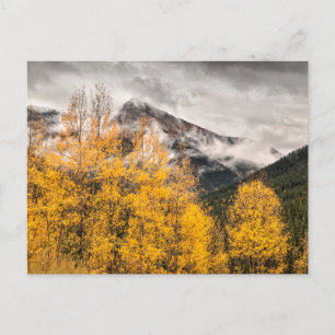 Alpine Loop   Silverton, Colorado Briefkaart