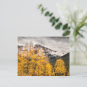 Alpine Loop | Silverton, Colorado Briefkaart (Staand voorkant)