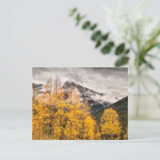 Alpine Loop | Silverton, Colorado Briefkaart (Staand voorkant)