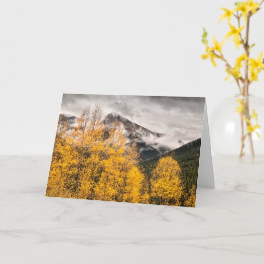 Alpine Loop | Silverton, Colorado Kaart (Gele Bloem)