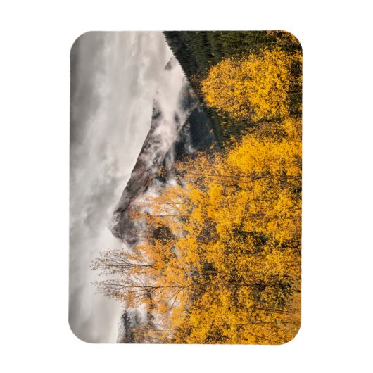 Alpine Loop | Silverton, Colorado Magneet (Verticaal)