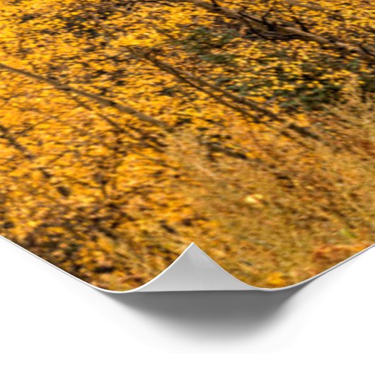 Alpine Loop | Silverton, Colorado Poster (Hoek)