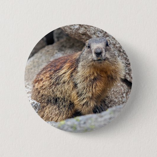 Alpine Marmot Badge Ronde Button 5,7 Cm (Voorkant)