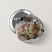 Alpine Marmot Badge Ronde Button 5,7 Cm (Voorkant /achterkant)