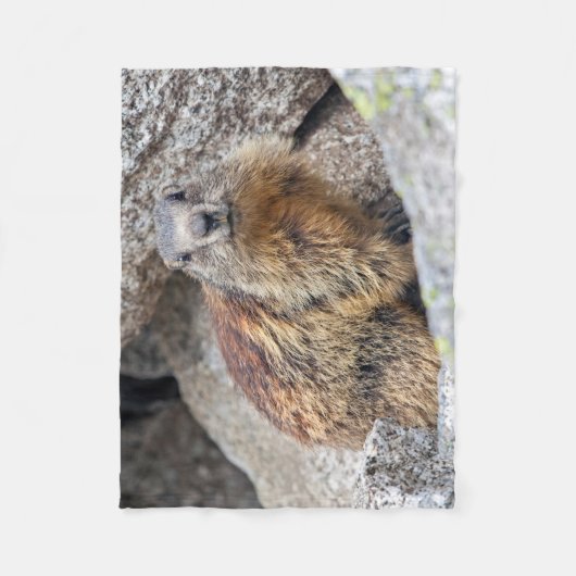 Alpine Marmot Fleece Blanket (Voorkant)