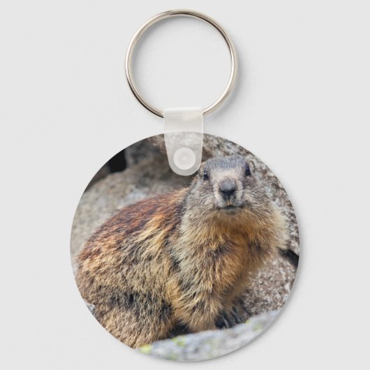 Alpine Marmot Keyring Sleutelhanger (Voorkant)