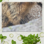 Alpine Marmot Kitchen Towel Theedoek (Gevouwen)