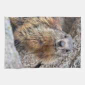 Alpine Marmot Kitchen Towel Theedoek (Horizontaal)