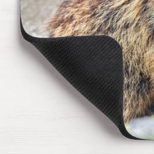 Alpine Marmot Mousemat Muismat (Hoek)