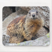 Alpine Marmot Mousemat Muismat (Voorkant)