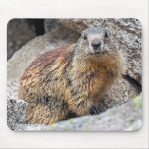 Alpine Marmot Mousemat Muismat