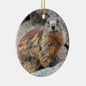 Alpine Marmot Ornament (Rechts)