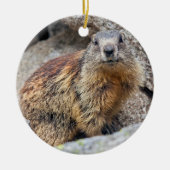 Alpine Marmot Ornament (Voorkant)