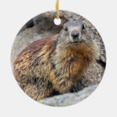 Alpine Marmot Ornament (Achterkant)