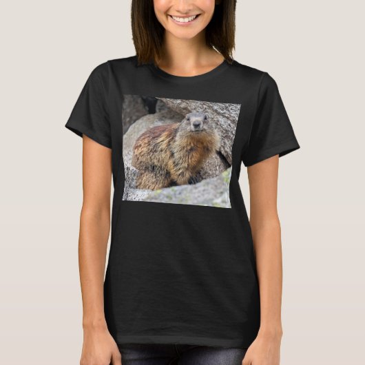 Alpine Marmot T-shirt (Voorkant)