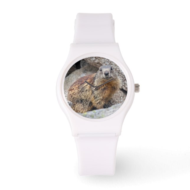 Alpine Marmot Watch Horloge (Voorkant)